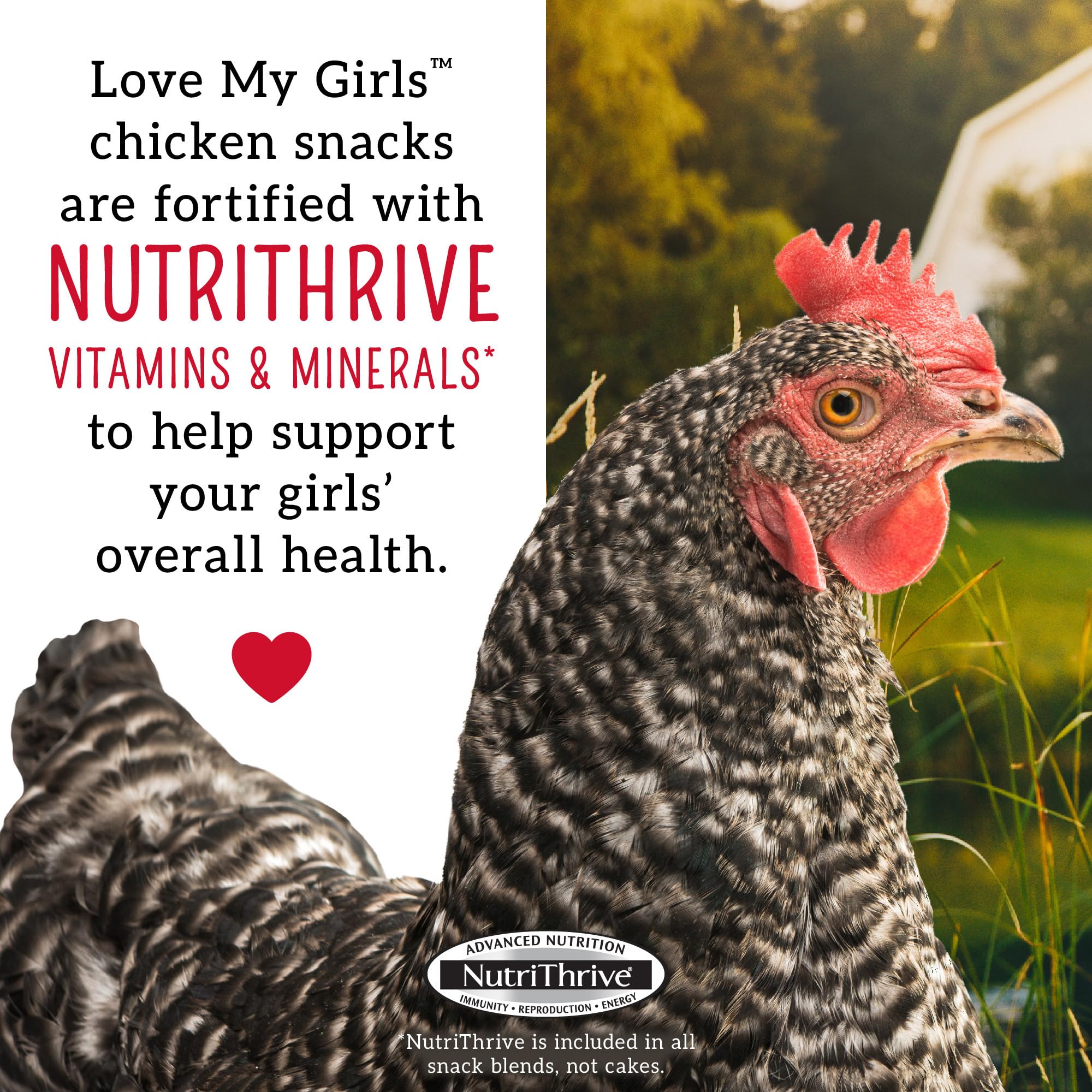 Love My Girls Veggies and Worms Chicken Treats, Corn-Free Treats for Chickens with Protein Rich Mealworms, (2) 5lb Bags